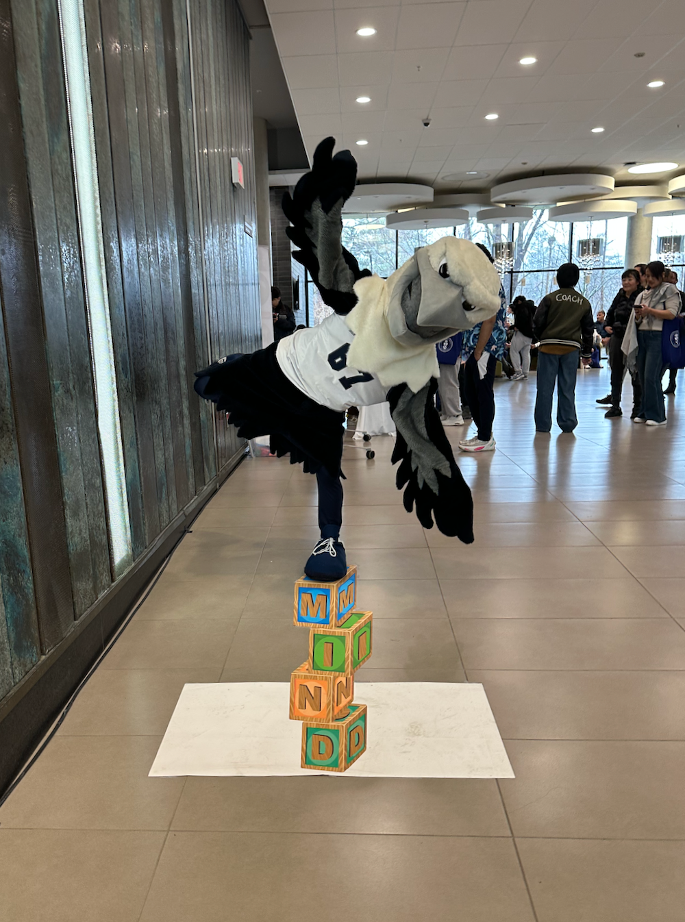 AnamorphicEagle